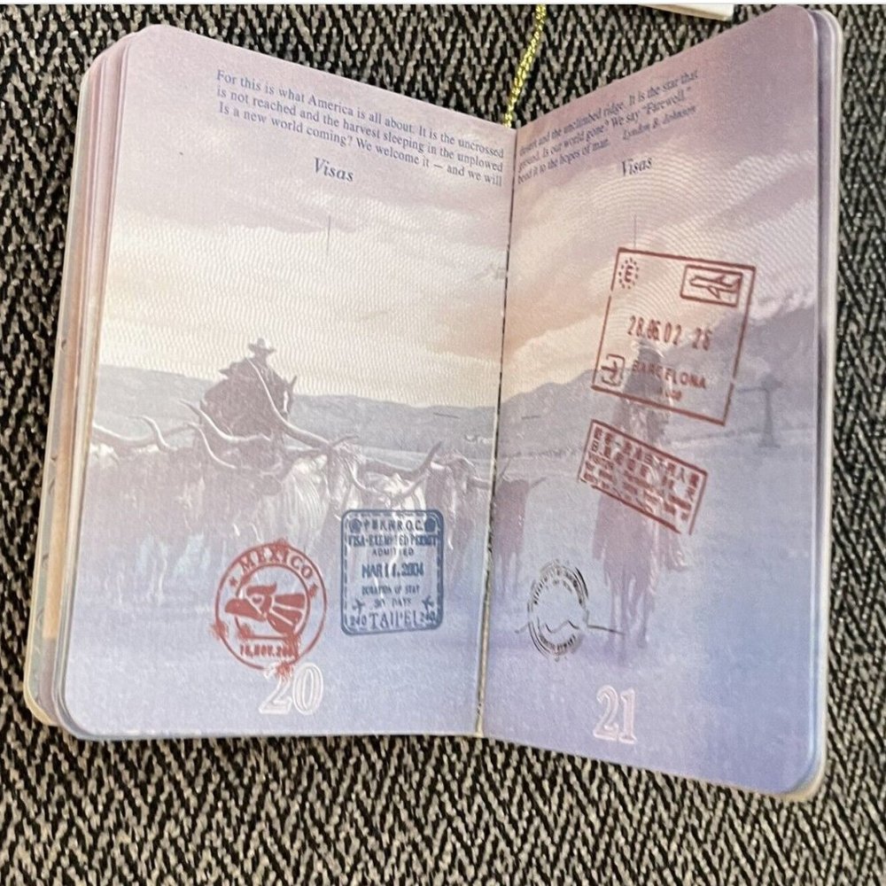 USA SANTA Passport Christmas Ornament ~ Realistic * World Travel ~ Wondershop - Picture 7 of 8